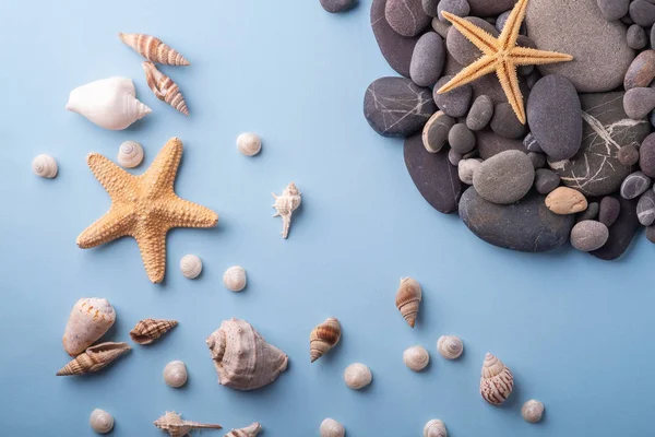 Yaz doku denizyıldızı deniz kabuğu çakıl üst görünümü mavi arka plan