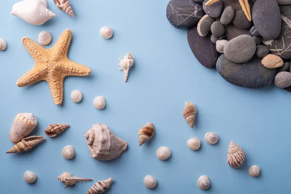Yaz doku denizyıldızı deniz kabuğu çakıl üst görünümü mavi arka plan