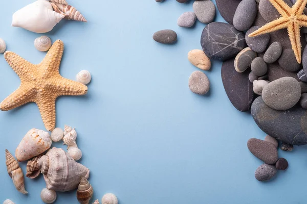 Yaz doku denizyıldızı deniz kabuğu çakıl üst görünümü mavi arka plan