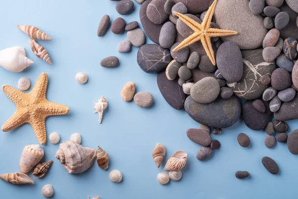 Summer Texture Starfish Seashell Pebbles Top View Blue Background — Stock Photo, Image