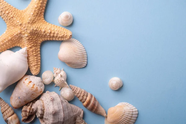 Yaz doku kopya uzay yıldızbalığı deniz kenarı üst görünüm mavi arka plan