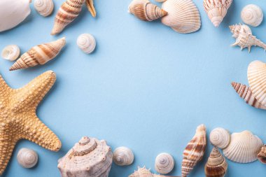 Yaz doku kopya uzay yıldızbalığı deniz kenarı üst görünüm mavi arka plan