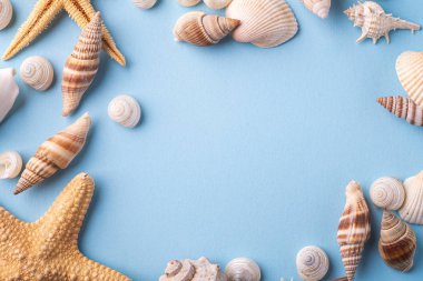 Yaz doku kopya uzay yıldızbalığı deniz kenarı üst görünüm mavi arka plan