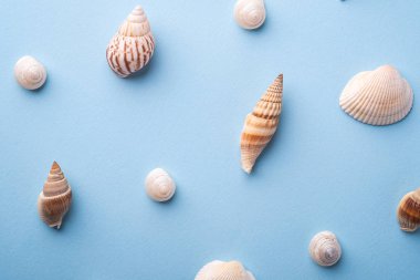 Yaz doku desen kopya uzay spiral deniz mavisi arka plan