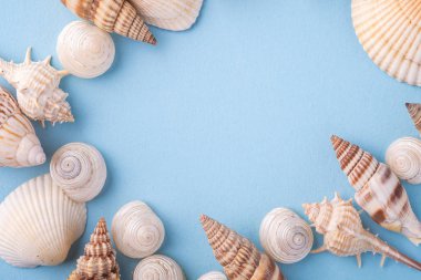 Yaz doku kopya uzay deniz kabuğu üst görünümü mavi arka plan