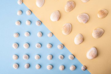 Yaz doku desen kopya alanı deniz kabuğu üst görünümü mavi ve sarı arka plan