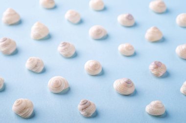 Yaz deniz kenarı açı görünümü mavi arka plan yakın çekim