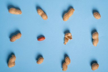 Yer fıstığı düz mavi arka plan fon gıda fındık doku kopya alanı üst görünümü nde minimal yatıyordu