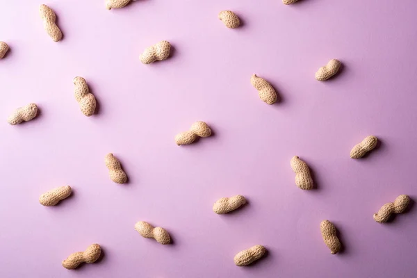Minimální Vzorek Podzemnice Olejné Fialovém Pozadí Textura Ořechové Barvy — Stock fotografie