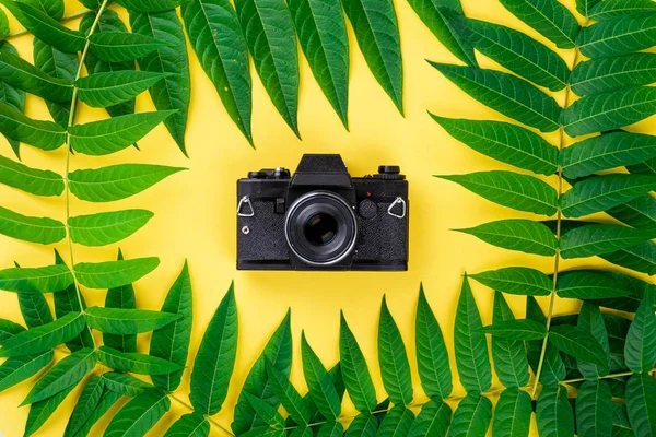 Black Vintage Retro Photo Film Camera Abstract Frame Border Tropic — Stock Photo, Image