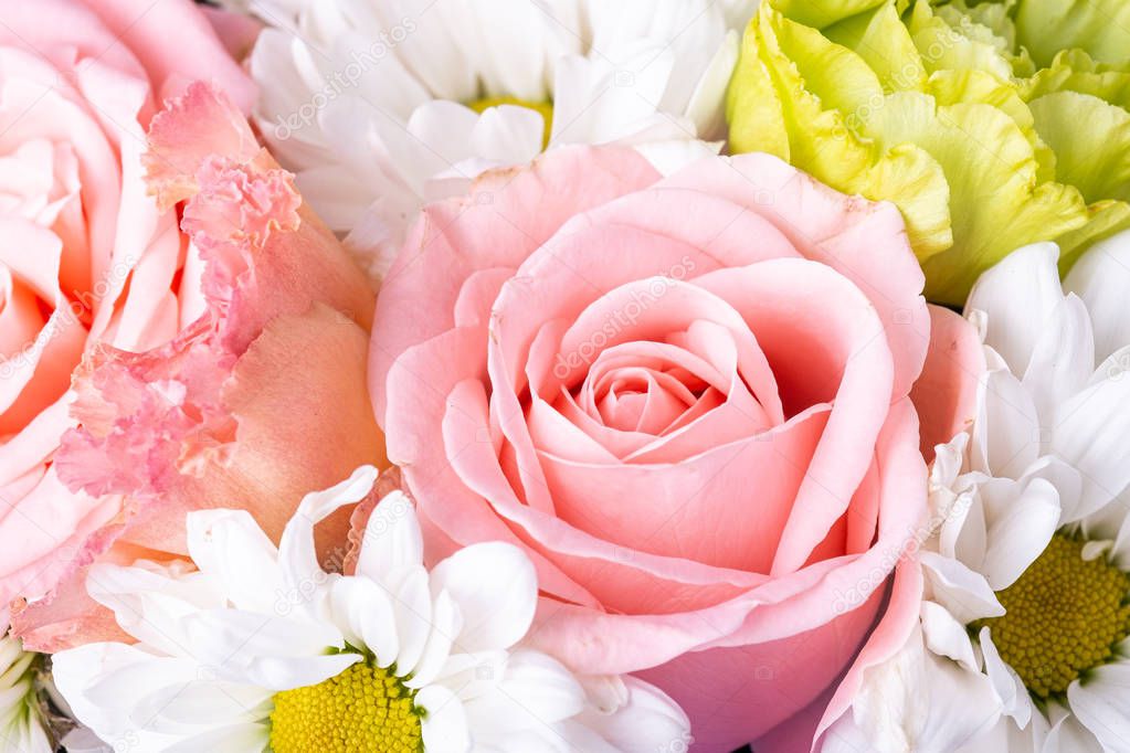 Bouquet of pink roses and white chrysanthemums with green plants, close up