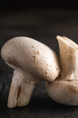 İki şampiyon mantar sağlıklı yiyecekler koyu siyah desenli arka plan, makro