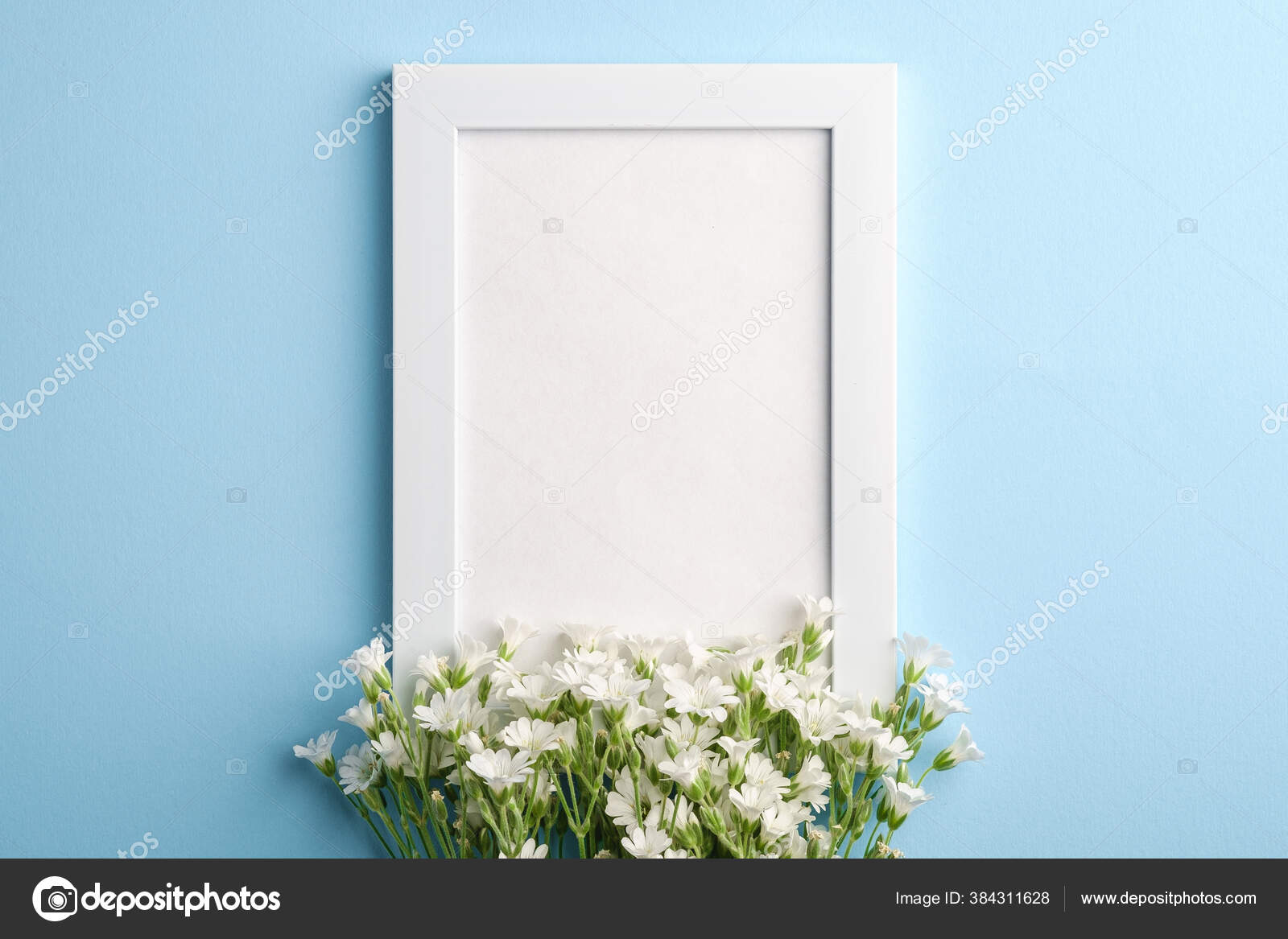 Download Mockup Bingkai Foto Kosong Putih Dengan Bunga Chickweed Telinga Tetikus Stok Foto C Frostroomhead 384311628 PSD Mockup Templates