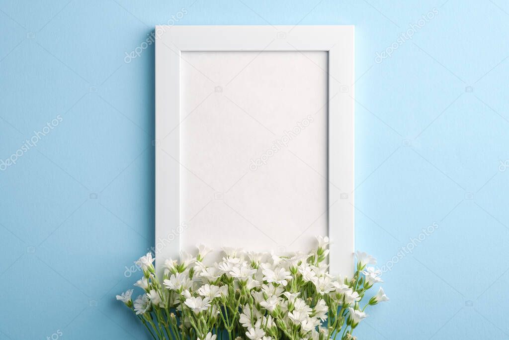 White empty photo frame mockup with mouse-ear chickweed flowers on blue background, top view copy space