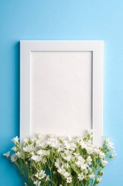 Mavi arkaplanda fare kulaklı civciv çiçekleri olan beyaz boş fotoğraf çerçevesi, üst görünüm kopyalama alanı
