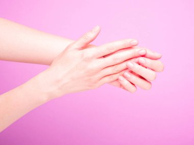 Güzel kadın elleri taze manikür, deri ve tırnak bakımı konsepti, mor arka plan