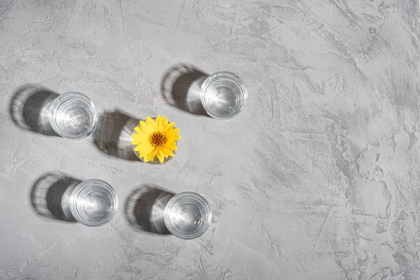 Свіжий Чистий Напій Жовтою Квіткою Склі Бетонному Фоні Творча Композиція — стокове фото