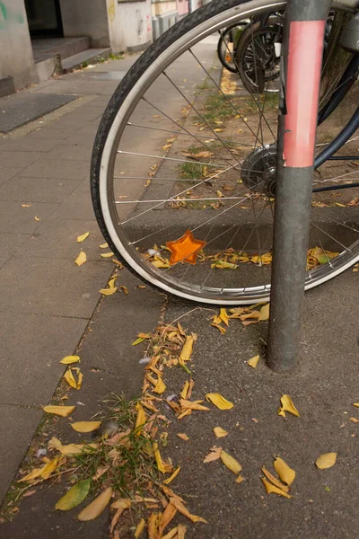 Bisiklet tekerleğinin yakın çekimi, sonbaharda kaldırıma düşen sarı yapraklarla çevrili yıldız şeklinde bir turuncu yansıtıcı..