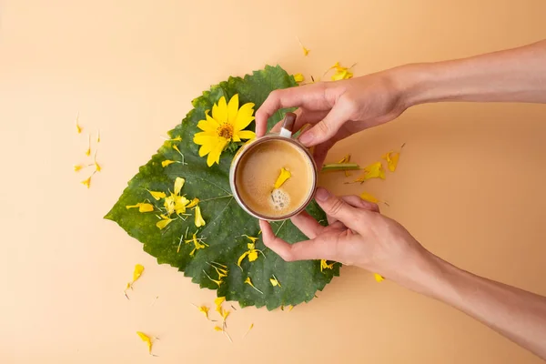 Büyük yeşil bir yaprağın üzerinde sarı bir çiçek yaprağı ile süslenmiş bir fincan kahve dağınık taç yaprakları ve bej arka planda ayçiçeğiyle çevrili..