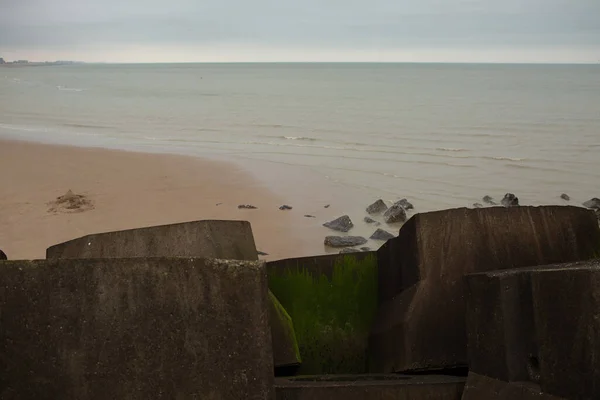 Sahilde yeşil yosun kaplı beton bloklar ve arkasında deniz var..