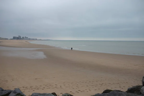 Martıları, ayak izleri ve uzak şehir silueti olan geniş kumlu sahil..