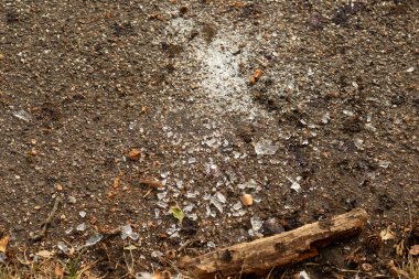 Parçalanmış cam parçaları yere saçılmış, küçük parçalar halinde..