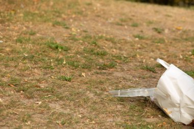 Boş kağıt torba ve plastik gıda konteynırları kuru park çimlerine bırakılmış, kirlilik ve ekolojik sorunları vurguluyor.