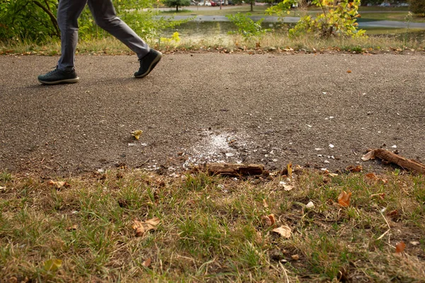 Parktaki çimlerin yanında asfalta saçılmış kırık camların önünden geçen bir yayanın yakın çekimi..