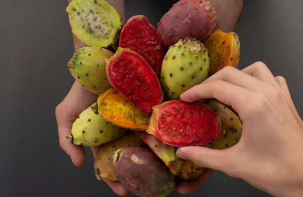 Bir insan eli taze kaktüs meyvelerinden sulu dikenli bir armut seçiyor..