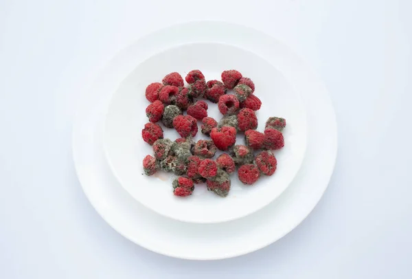 Ahududulu beyaz tabak küf tarafından bozulmuş, sade bir arka planda fotoğraflanmış..