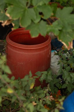 Büyük kırmızı plastik bir fıçı, arka bahçedeki yeşil yaprakların arasında duruyor..