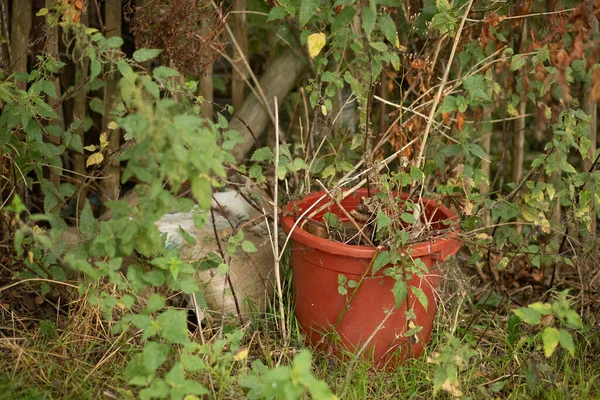 Eski kırmızı plastik saksı otların ve kuru dalların arasında duruyor..