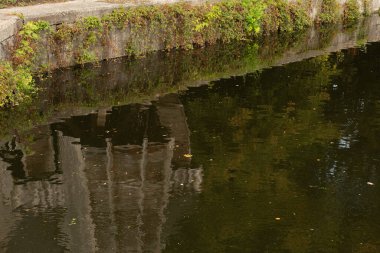 Distorted reflection of a stone building with plants on the water surface.