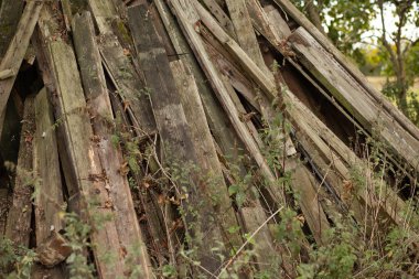 Large pile of old weathered boards leaning against an abandoned structure.