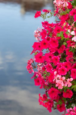 Sakin nehir yüzeyi yakınlardaki evleri ve yeşil ağaçları yansıtıyor..