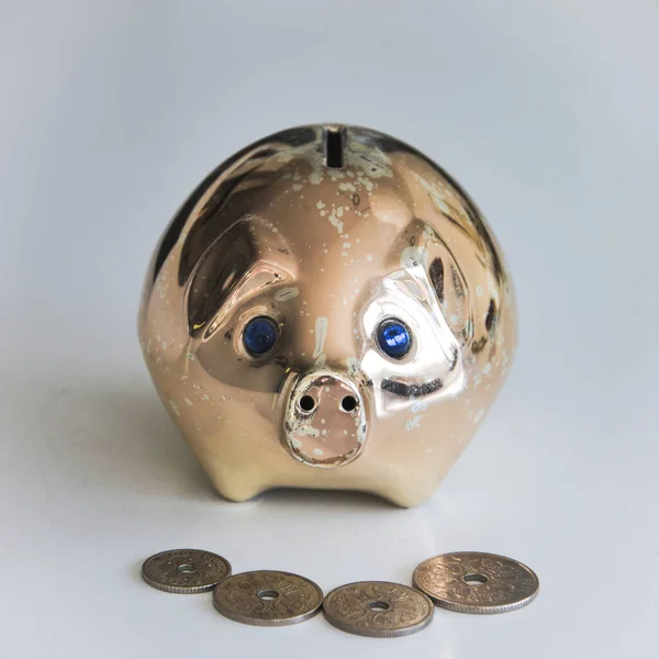 Piggybank for saving money to generate wealth with coins.