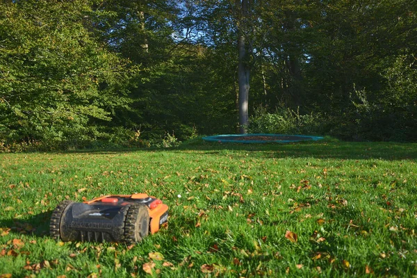Elektrikli robot çim biçme makinesi Sonbaharda çim biçer.