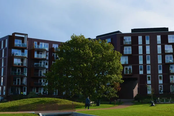 Vejle, Danimarka - 2020: Vejle Havn 'daki apartmanın önündeki büyük ağaç.