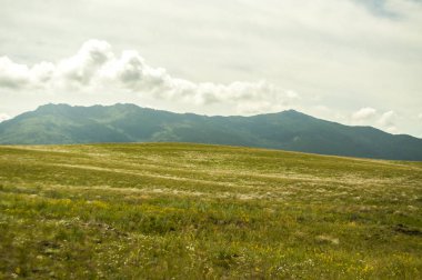 Manzara. Yeşil çayır, alan yüksek mavi hills çerçevede çiçekli