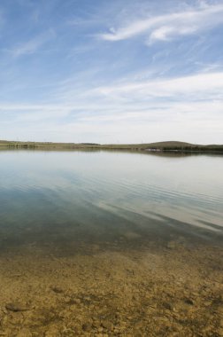 Ağaçlı göl kıyısı