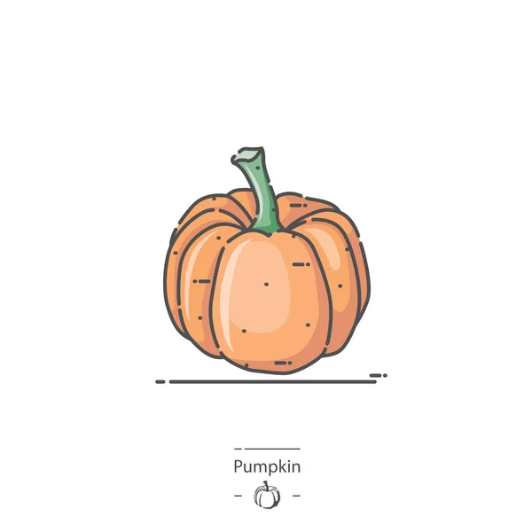 Calabaza Icono Color Línea — Vector de stock