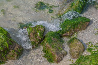 su sıçrama ve deniz taşları üzerinde plaj, Karadeniz, Ukrayna. 