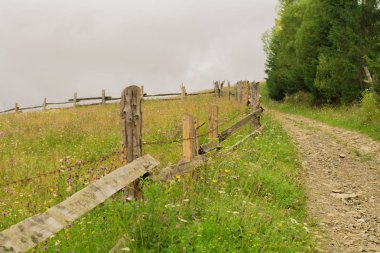 dağ yolu, çayır, Alpler