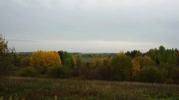 Herbstliche Landschaft Mit Nebel — Stockfoto