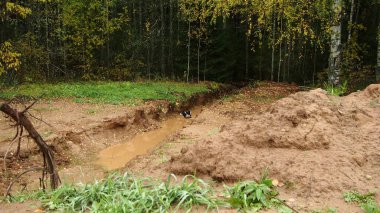 Ormanda bir yürüyüş.