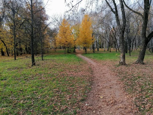 Otoño Parque — Foto de Stock