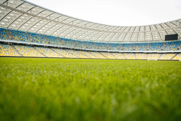 Summer, a green grass stadium, runs and jumps