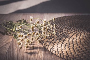 Saman peçete üzerinde Papatya