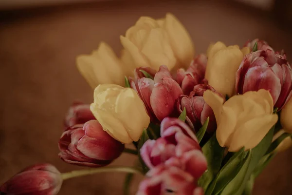 Růžová a žlutá tulipány — Stock fotografie