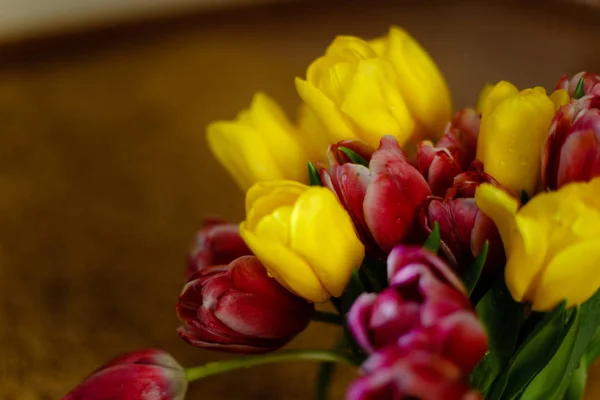 Růžová a žlutá tulipány — Stock fotografie